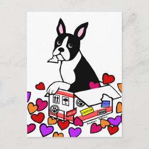 Boston Terrier in de Box Cartoon Briefkaart