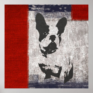 Boston Terrier in zwart-wit met rode grens Poster