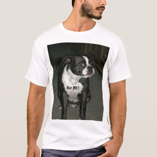 Boston Terrier Innocent Angel T-shirt