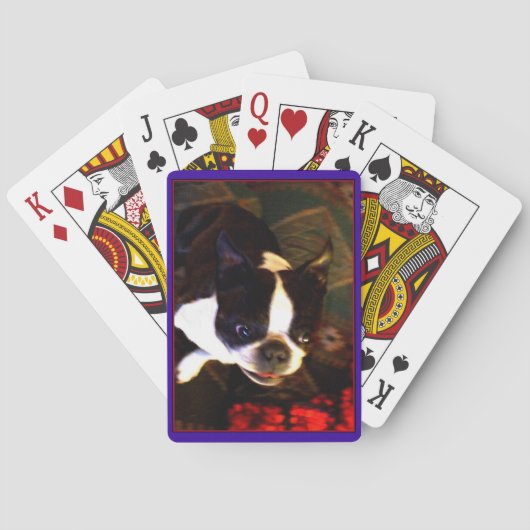 Boston Terrier jeu de cartes (dos)