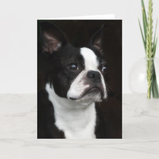 Boston Terrier Kaart
