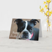 Boston Terrier Kaart (Gele Bloem)