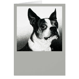 Boston Terrier Kaart - "Boston Style"