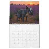 Boston Terrier kalender 2026 (Mar 2026)