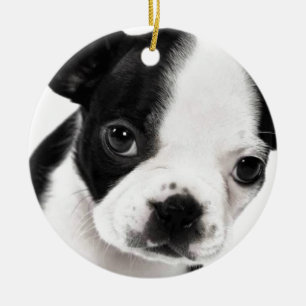 Boston Terrier Keramisch Ornament