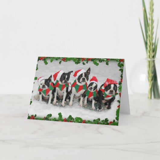 Boston Terrier Kerst Kaart (Voorkant)