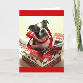 Boston Terrier kerstcadeau Kaart