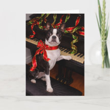 Boston Terrier Kerstkaart – Feestelijke Feestdagen