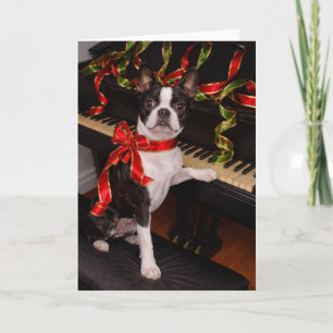 Boston Terrier Kerstkaart – Feestelijke Feestdagen Kaart