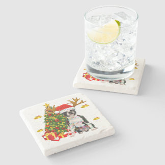 Boston Terrier kerstlampjes — kerstkerstmis Pa Stenen Onderzetter