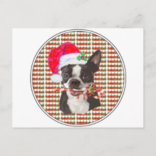 Boston Terrier Kerstmis Feestdagenkaart