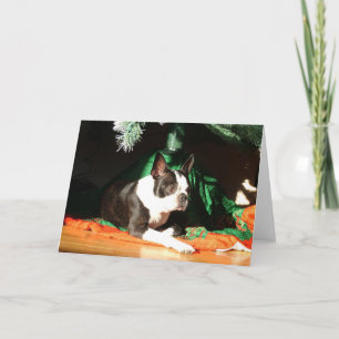 Boston Terrier Kerstmis met Piper Feestdagen Kaart
