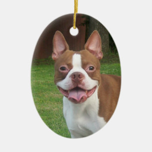 Boston Terrier Kerstornament Keramisch Ornament