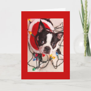Boston Terrier Kerstverlichting Santa Greeting Car Feestdagen Kaart
