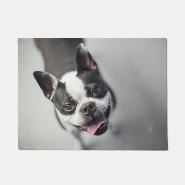 Boston Terrier kijkt naar Doormat Deurmat (Voorkant)