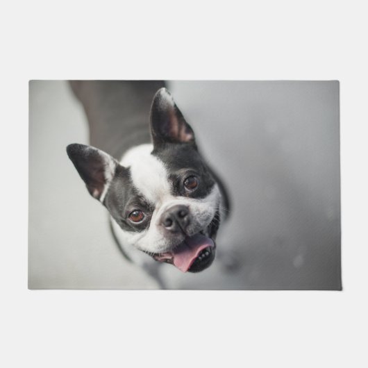 Boston Terrier kijkt op Deurmat (Voorkant)