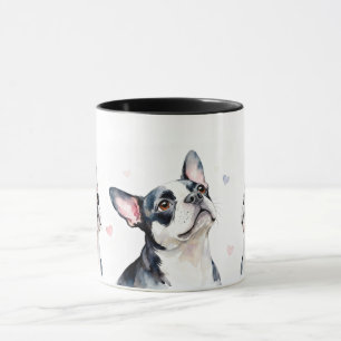 Boston Terrier Koffie of Thee Mok