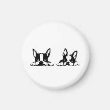 BOSTON TERRIER KOTARO & TEN TEN