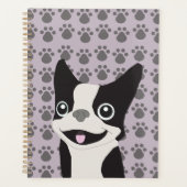 Boston Terrier, lilas pourpre (Devant)