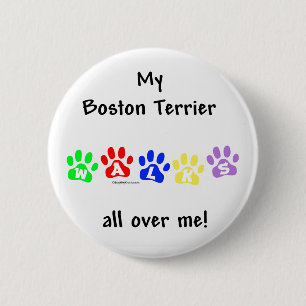 Boston Terrier loopt over me heen - Button