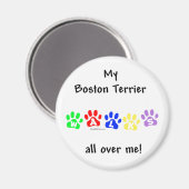 Boston Terrier loopt over me heen - Magnet Magneet (Voorkant / Achterkant)