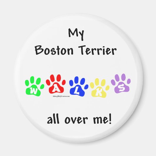 Boston Terrier loopt over me heen - Magnet Magneet (Voorkant)