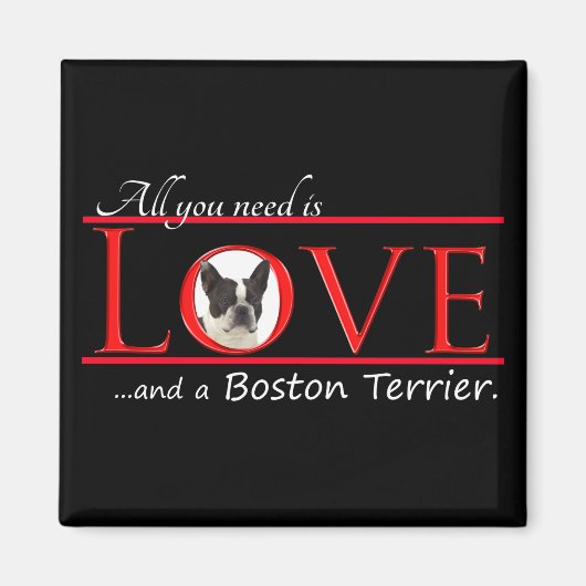 Boston Terrier Love Magnet (Devant)