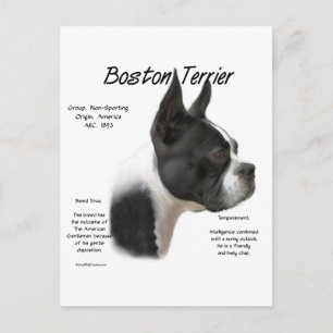 Boston Terrier Maak kennis met het ras Briefkaart