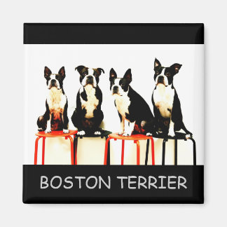 BOSTON TERRIER MAGNEET