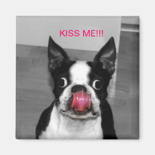 BOSTON TERRIER MAGNEET