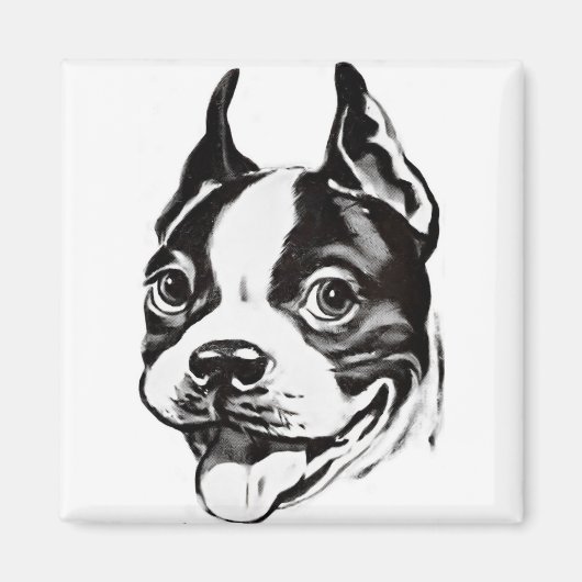 Boston Terrier Magnet (Devant)