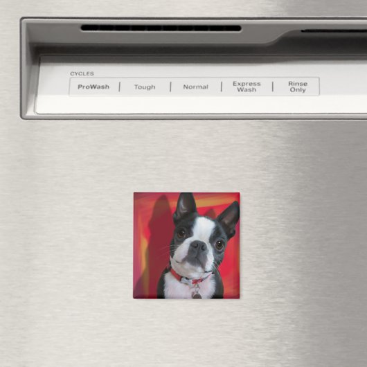 Boston Terrier Magnet (In Situ (Lave-vaisselle))