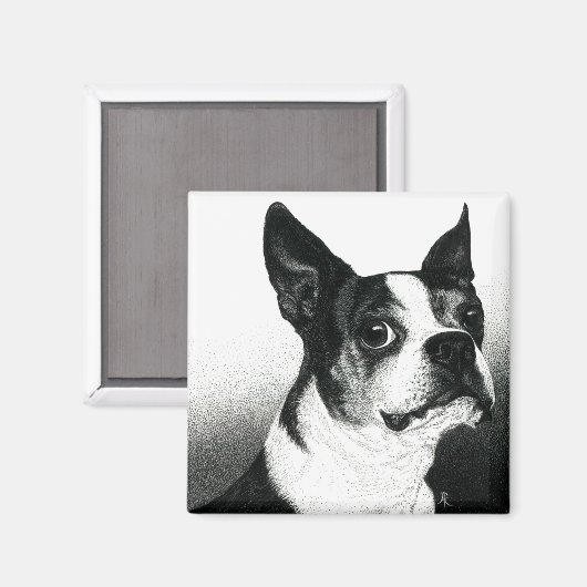 Boston Terrier Magnet - "Boston Style" (Recto/Verso)