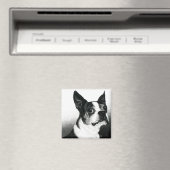 Boston Terrier Magnet - "Boston Style" (In Situ (Lave-vaisselle))