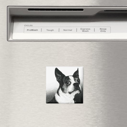 Boston Terrier Magnet - "Boston Style" (In Situ (Lave-vaisselle))