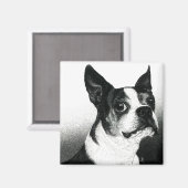 Boston Terrier Magnet - "Boston Style" Magneet (Voorkant / Achterkant)