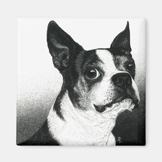 Boston Terrier Magnet - "Boston Style" Magneet (Voorkant)