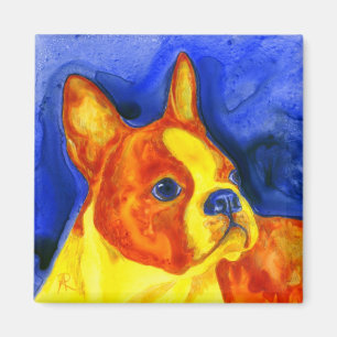 Boston Terrier Magnet - "Golden Boy" Magneet