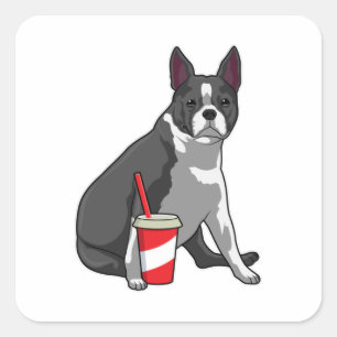 Boston Terrier met Drink Vierkante Sticker