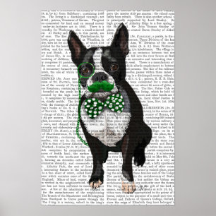 Boston Terrier met Green Mustache Poster