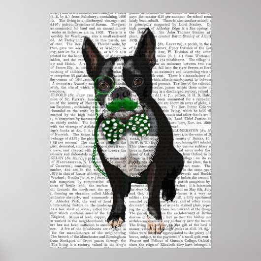 Boston Terrier met Green Mustache Poster (Voorkant)