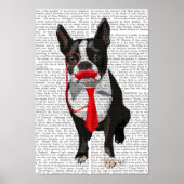 Boston Terrier met rood Stropdas en snor Poster (Voorkant)
