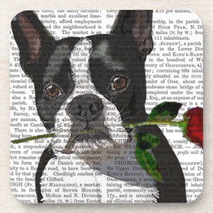 Boston Terrier met Roos in Mouth Bier Onderzetter