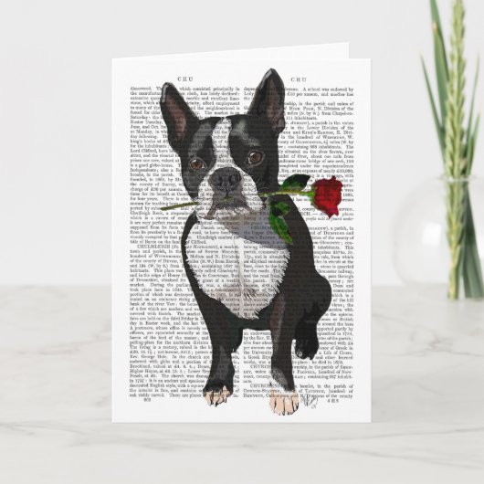 Boston Terrier met Roos in Mouth Kaart (Voorkant)