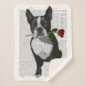Boston Terrier met Roos in Mouth Sherpa Deken (Voorkant)
