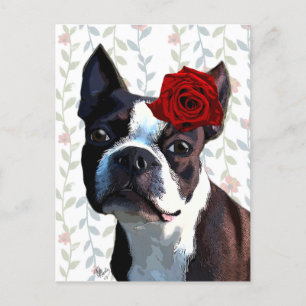 Boston Terrier met Roos op hoofd 2 Briefkaart