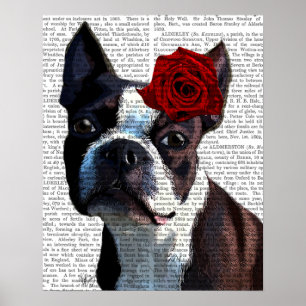 Boston Terrier met Roos op kop Poster