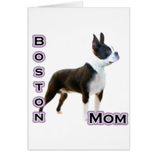 Boston Terrier Moeder 4