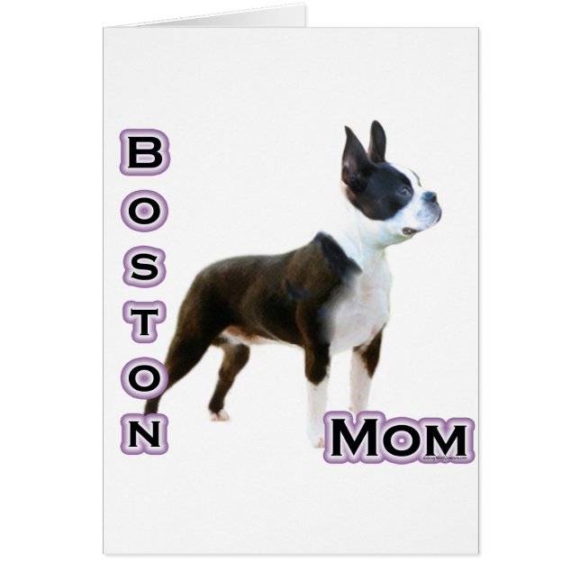 Boston Terrier Moeder 4 (Voorkant)