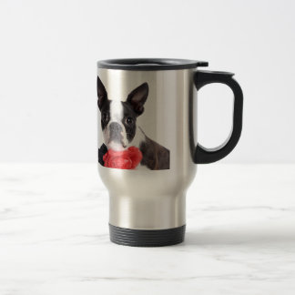 Boston Terrier Mollie Mäusekind Reisbeker